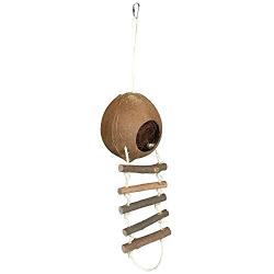 Casita para hamster Coco