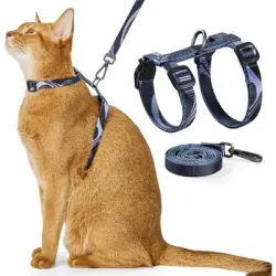 HausPets Arnés gatos correa ajustable, antiescape, ligero suave, color gris - Artículo 1