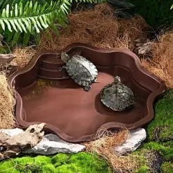 ZooVenture Bañera y comedero para reptiles - Marrón rojizo