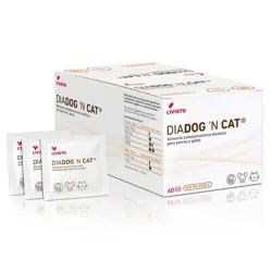 Livisto DIADOG’N CAT Suplemento dietético para perros y gatos que apoya la recuperación intestinal - 6 comprimidos