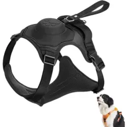 Pawffee Automatisches Hundegeschirr M schwarz mit ausziehbarer Leine - 1 pieza