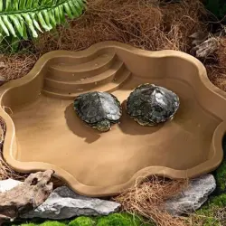 ZooVenture Bañera y comedero para reptiles - AMARILLO