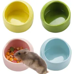 ZooVenture Juego de 4 cuencos de cerámica para roedores - Juego de 4 piezas: Cerámica
