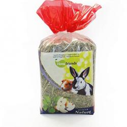 Heno natural para roedores Home Friends Zanahoria-Equinácea 500 gr