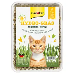 GimCat Hydro-Gras 150 g hierba para gatos - 1 x 150 g