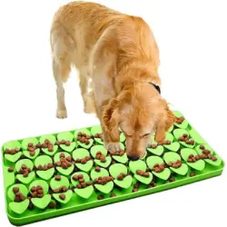 UAMLY Cojín lamiendo al perro - Verde