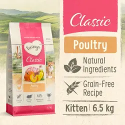Feringa Kitten Classic ave - NUEVO: 6,5 kg