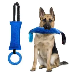 UAMLY s de cuerda para masticar para perros - 1 pieza