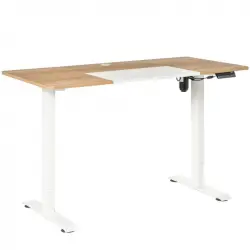 Vinsetto Escritorio Eléctrico Altura Ajustable 4 Teclas Memoria 140x70x72-116 Cm