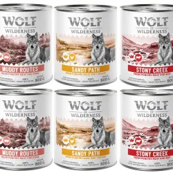 Wolf of Wilderness Expedition Senior 6 x 800 g - Pack mixto
