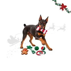 Wonder Christmas Cesta de s Premium  para perros - 6 uds.