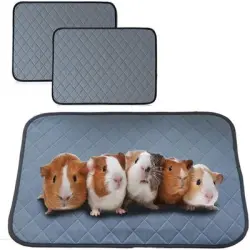FurryFusion Juego de 2 alfombrillas para jaulas de animales pequeños - 50*70 cm