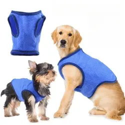 IntiMeg chaleco genial para perros - SG