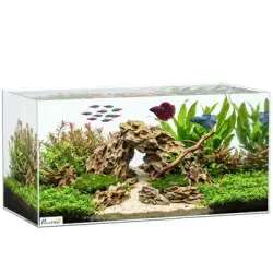 PawHut Acuario de Cristal 60x30x30 cm Transparente - 1 Article