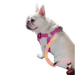 FurryFusion cinturón de seguridad para perros - Artículo 3