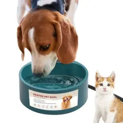 IntiMeg Comedero exterior climatizado para perros - Una pieza
