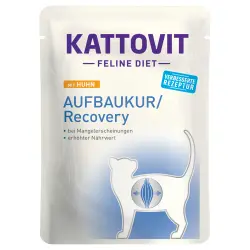 Kattovit Build Up Cure para gatos en bolsitas 24 x 85 g - Pollo