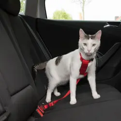 Trixie Arnés para gatos con cinturón de seguridad rojo