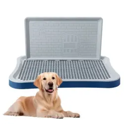 ZooVenture Arenero grande para perros - Azul 51*39*3,5 cm - 51*39*3,5 cm