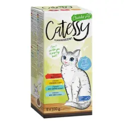 Catessy en tarrinas 8 x 100 g - Pack mixto - Pack mixto bocaditos en salsa