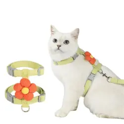 FurryFusion Juego de cuerdas de tracción para gatos (1,8 m) - Verde M