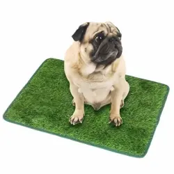 FurryFusion Césped artificial para perros - Artículo 5