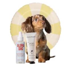 Masco Beauty Pack Verano Patas y Sol para perros · Crema Protectora de Almohadillas + Spray Solar SPF 30 · Protección frente al asfalto caliente y las quemaduras solares · Hecho en España - 175 ml