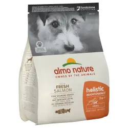 Almo Nature Holistic Adult Small con salmón y arroz - 2 kg