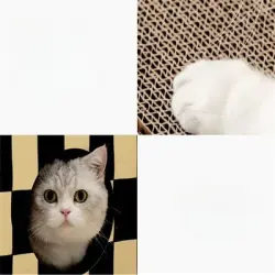 MCBOSON Rascador y cama para gatos dos en uno - 1 unidad