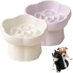 ZooVenture Tazón de cerámica de alta velocidad con tope (2 piezas) - Blanco + Morado