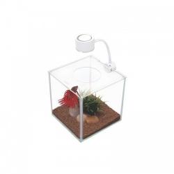Betera de cristal en forma de cubo Marina 3,4 L