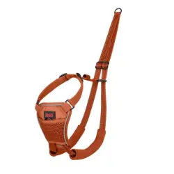 Arnés antitirones Halti No Pull para perros - naranja: Talla M (p. ej. retriever, border collie)