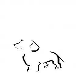 Ilustración de Terrier sin marco color Blanco
