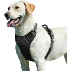Pawffee Arnés ajustable antitirones perros asa material reflectante (L) - 1 pieza