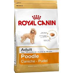 Royal Canin Caniche (Poodle) 1,5 Kg.