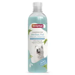 Champú  para perros blancos beaphar - 250 ml
