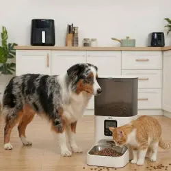 Leeby Comedero Automático Programable Blanco y Gris para perros y gatos - 6 l