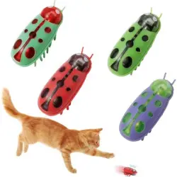 UAMLY  eléctrico móvil con forma de mariquita para gatos - 4 piezas