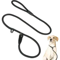HausPets Correa deslizante de 150 cm sin collar - 1 artículo