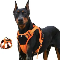 IntiMeg Arnés Power Dog - L