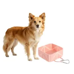 MCBOSON (Bol de viaje plegable 500 ml) Bol perros/gatos pequeños medianos - 1 artículo