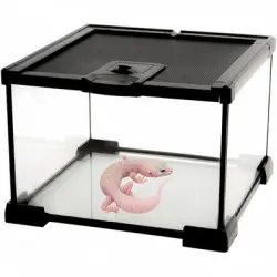 ZooVenture Miniterrario de cristal para reptiles - S