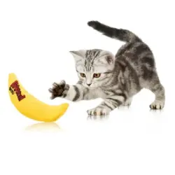 IntiMeg  para gatos - Plátano amarillo - Artículo 1