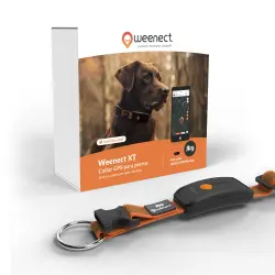 Weenect XT Collar GPS para perros (Naranja) - Pequeño