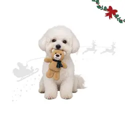 Wonder Christmas Oso Navideño Peluche para perros - 30 x 14 x 8 cm