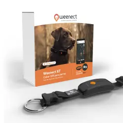 Weenect XT Collar GPS para perro (Negro) - Pequeño