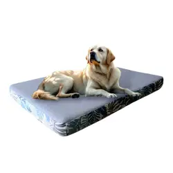MAXTIN Cama Lulu Gris Estampado para perros - 110 x 75 x 10 cm