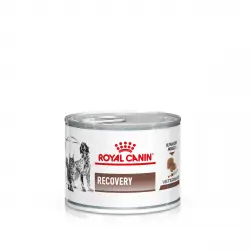 Royal Canin Veterinary Canine Recovery Mousse perros y gatos - 12 x 195 g