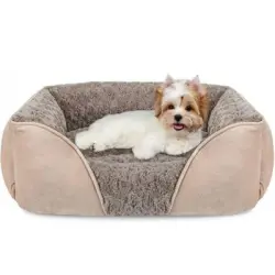 ZooVenture Cesta para perros de 60*45*14 cm - Camello - Talla S (60 x 45 x 14 cm)