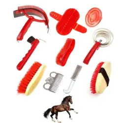 ZooVenture Kit completo de aseo para caballos - 10 piezas